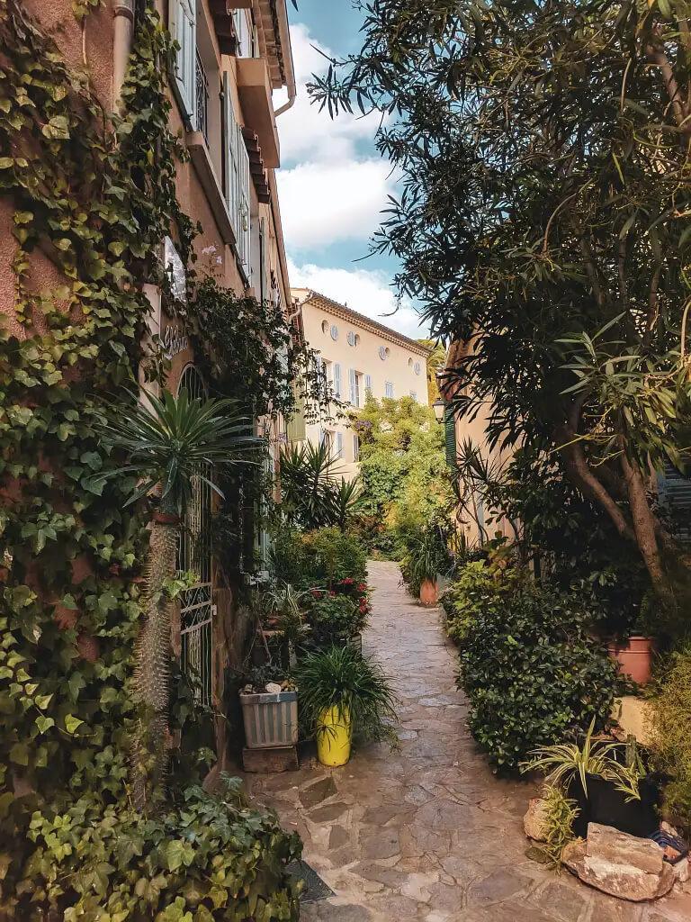 A walkway overgrown with plants — if retail could grow like plants.