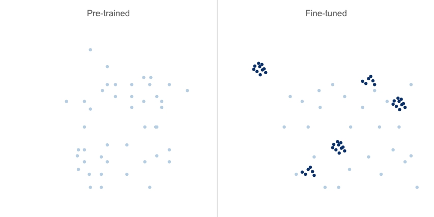 A silhouette of a pre-trained vs. a fine-tuned multi-modal CLIP model.